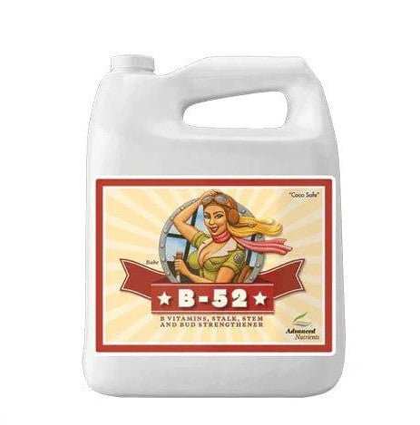B - 52 5L - ADVANCED NUTRIENTS - VERNYGLASS
