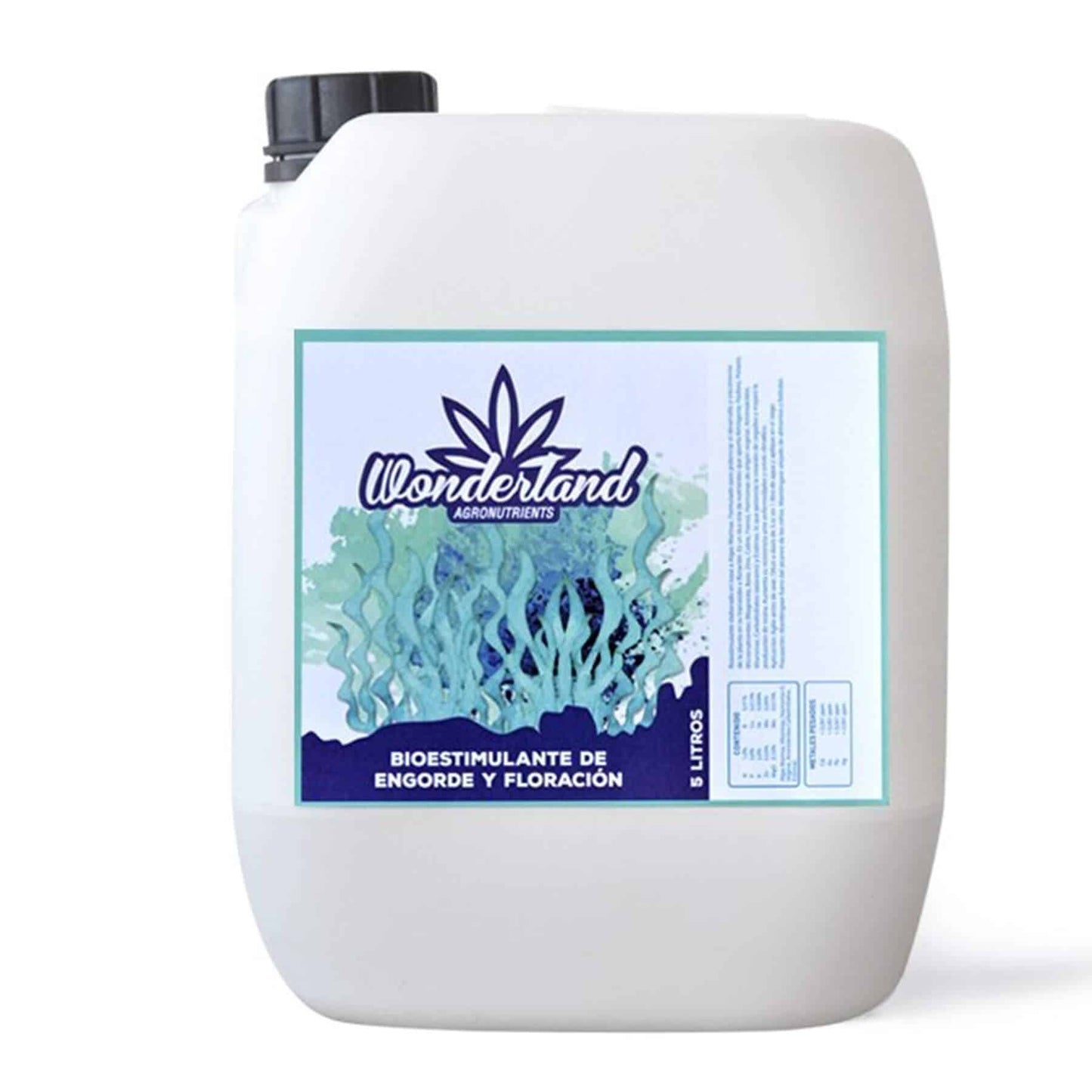 FERTILIZANTE DE ENGORDE Y FLORACION B+C 5LT - WONDERLAND - VERNYGLASS