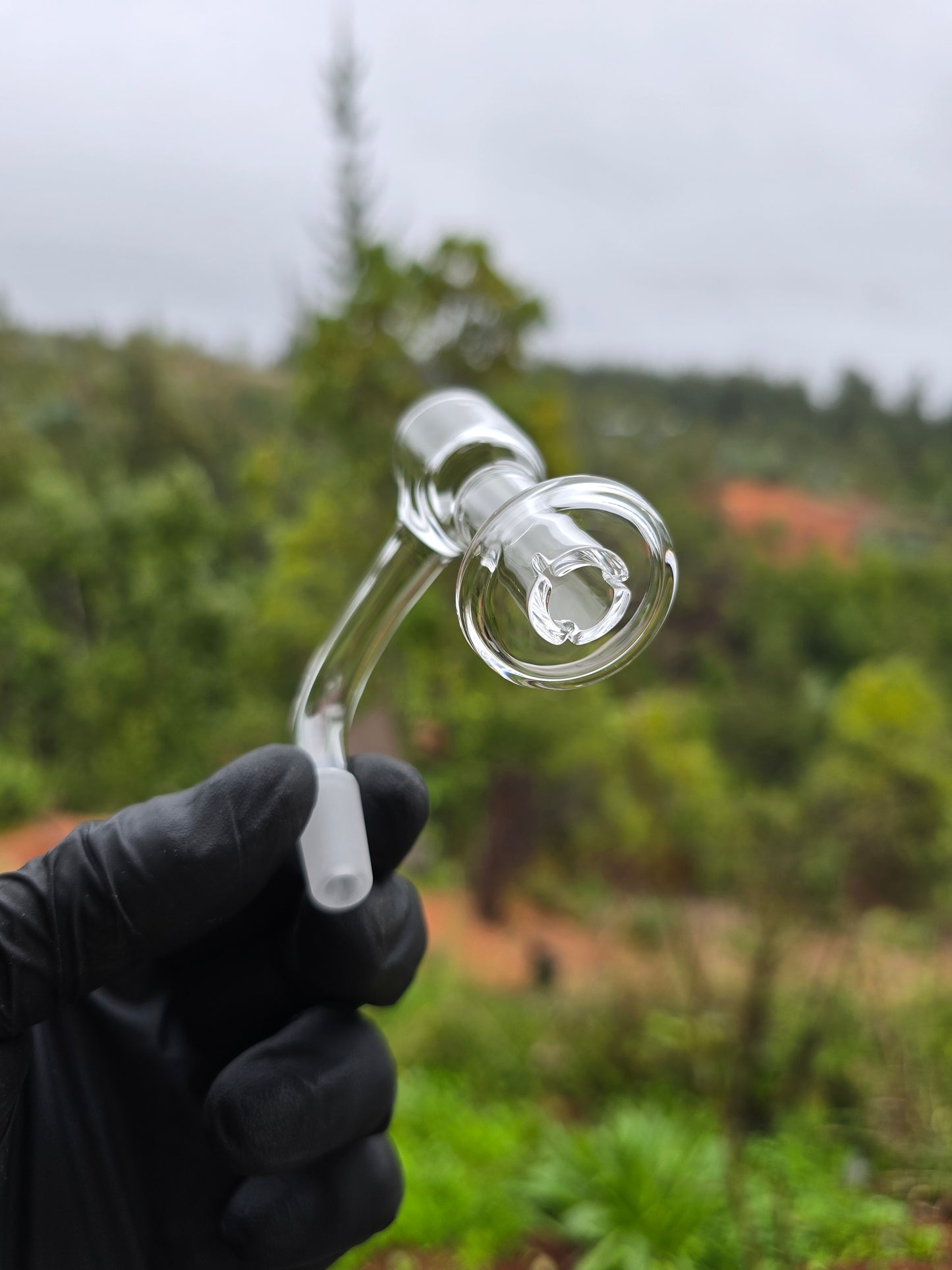 Terp Slurper  - Vernyglass