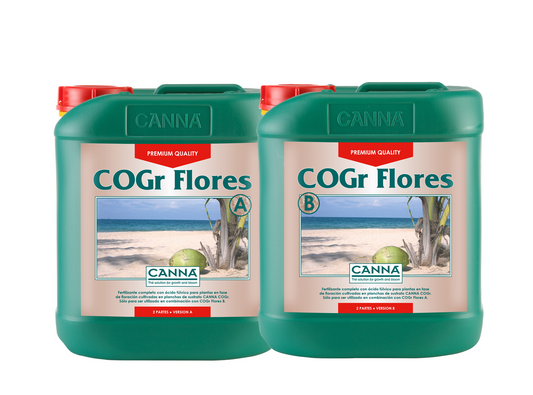 COGR FLORES A + B 5LT-CANNA
