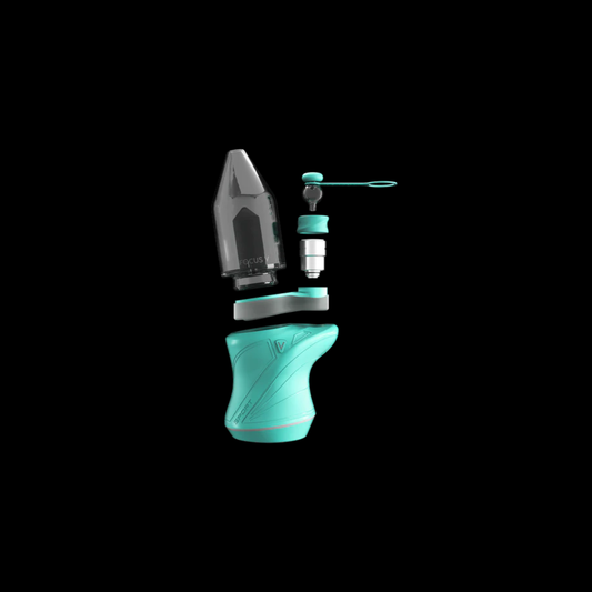Carta Sport Teal - Focus V