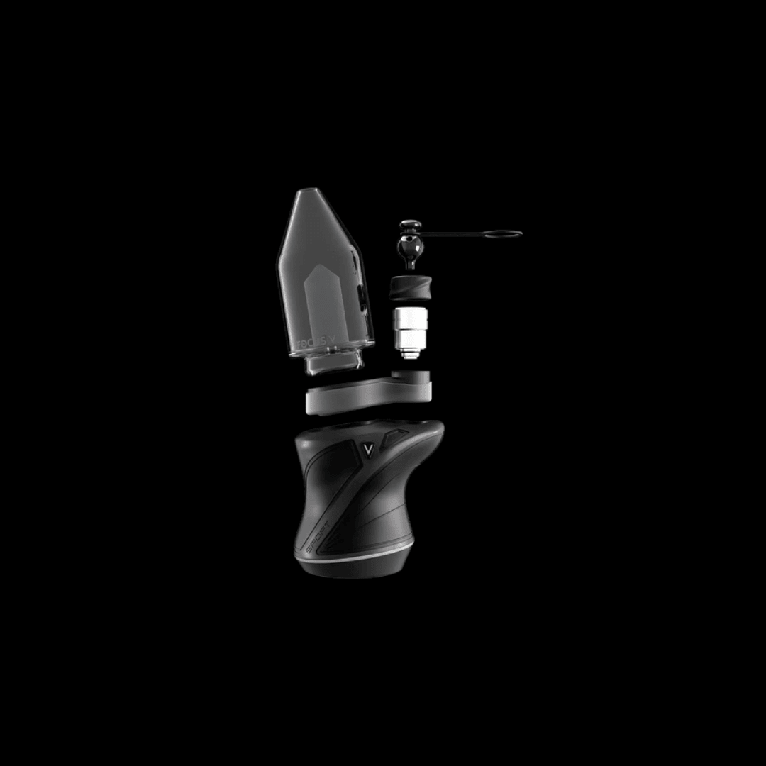 Carta Sport Black - Focus V - VERNYGLASS