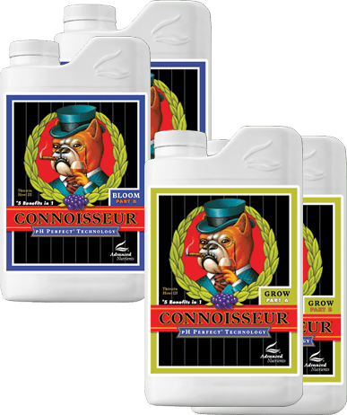 CONNOISSEUR BLOOM PARTE A+B 5 LT - ADVANCED NUTRIENTS - VERNYGLASS