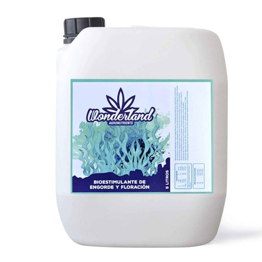 FERTILIZANTE DE ENGORDE Y FLORACION B+C 5LT - WONDERLAND - VERNYGLASS