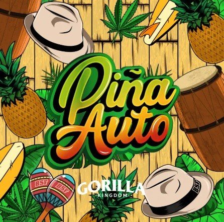 GORILLA PIÑA AUTO-BSF - VERNYGLASS