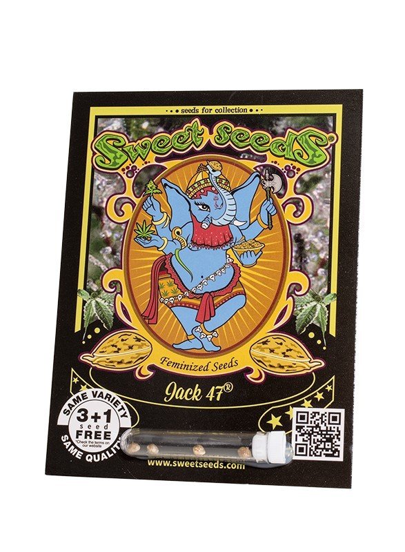 JACK 47 FEM X100 - SWEET SEEDS - VERNYGLASS