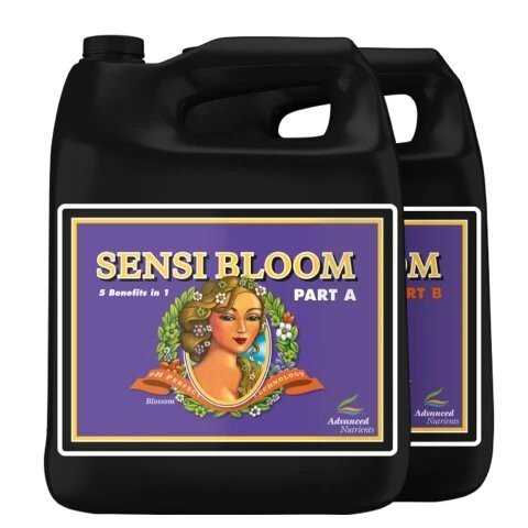 PH PERFECT SENSI BLOOM A+B 5L - ADVANCED NUTRIENTS - VERNYGLASS