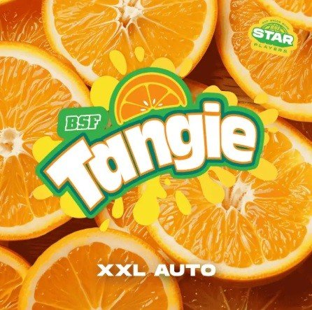 TANGIE XXL  AUTO -BSF - VERNYGLASS